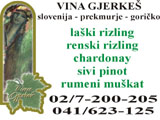 Vina Gjerkeš